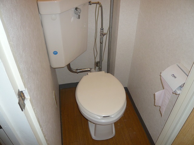 Toilet. It is with a shelf! 