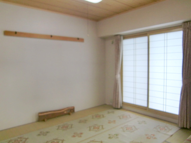 Other room space. Japanese style room