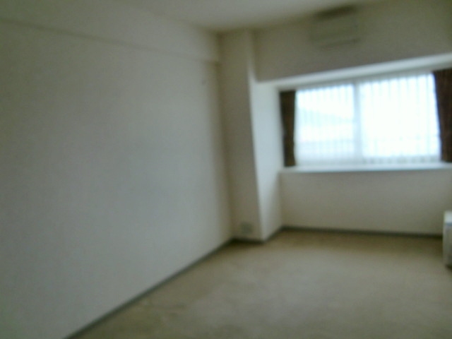 Other room space. Western style room