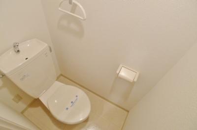 Toilet. Toilet is with a towel hanger with cleanliness