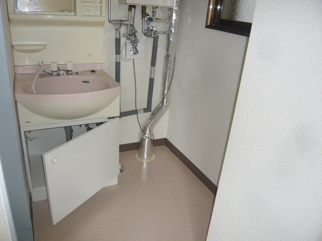 Washroom. We with shampoo dresser.