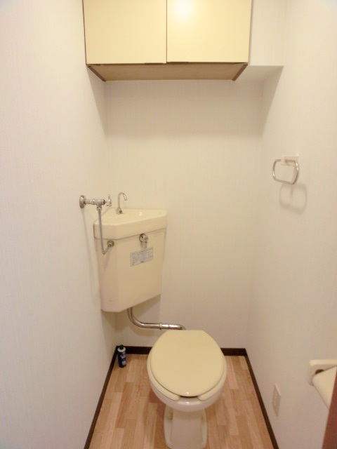 Toilet. It has been beautifully cleaned.