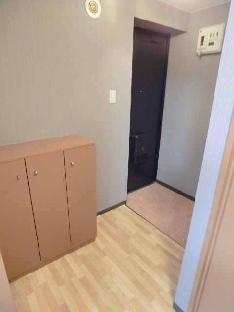 Entrance. Exactly is the entrance of a good size in the Single.