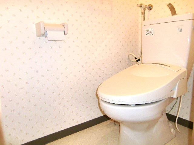 Toilet. Toilet