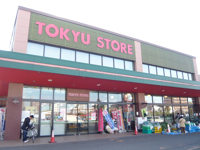Other. Close to is the Tokyu Store Chain! ! 