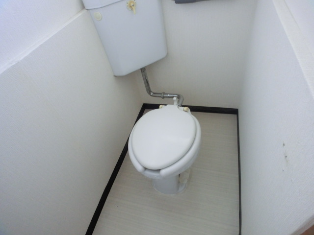 Toilet. Toilet with no feeling of pressure