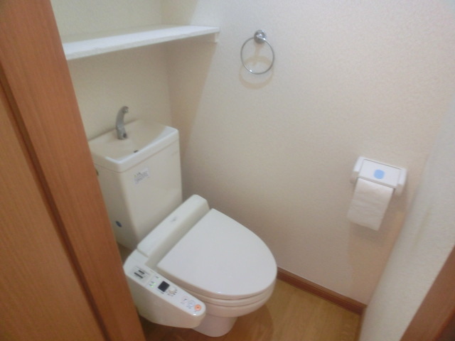 Toilet. It is with warm water washing toilet seat. 