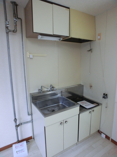 Kitchen. Pure white kitchen!