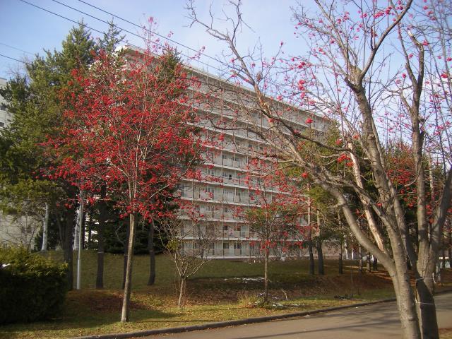 Local appearance photo. appearance