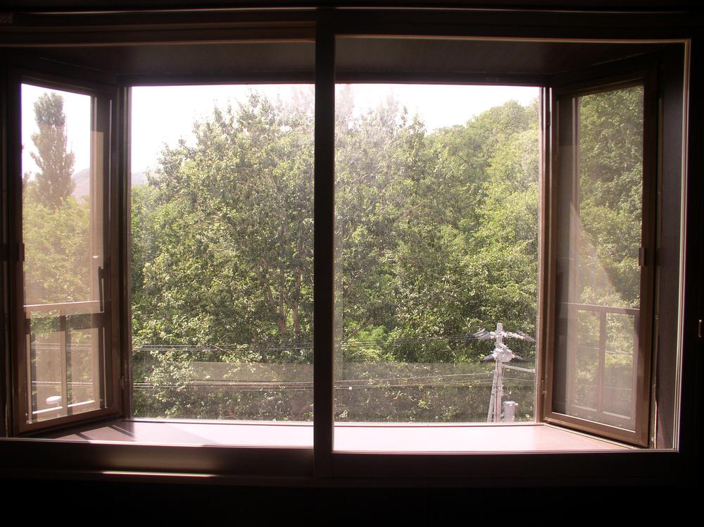 Non-living room. The view from the bedroom