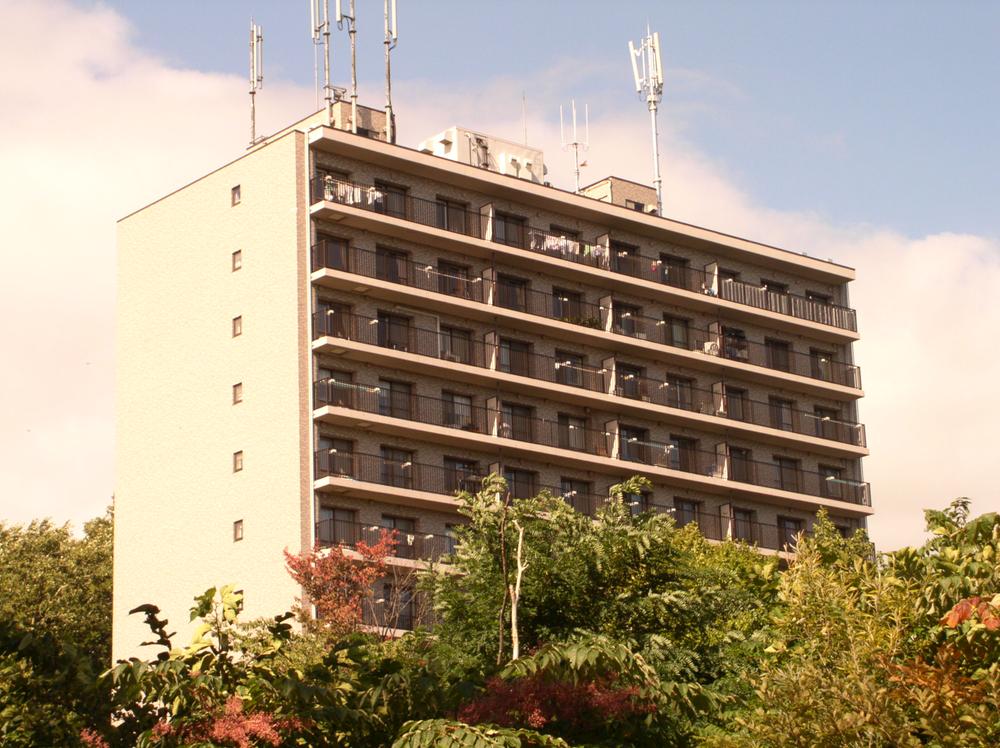 Local appearance photo. Want green and city