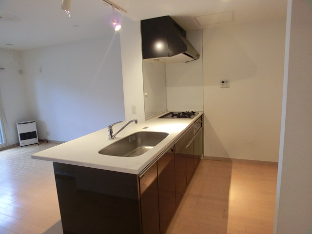 Kitchen. Luxury drifts kitchen! It is a popular face-to-face!