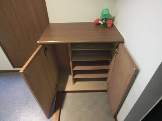Entrance. Also it comes with shoe box.