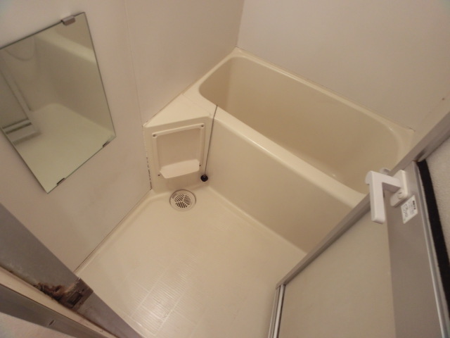 Bath. Spacious bath time!