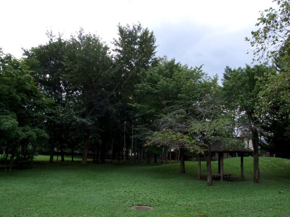 park. Carefree child-rearing in the refreshing living environment