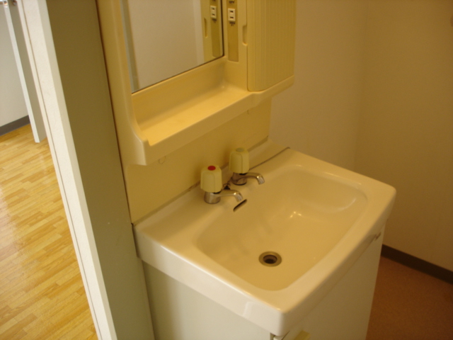 Washroom. Bathroom vanity