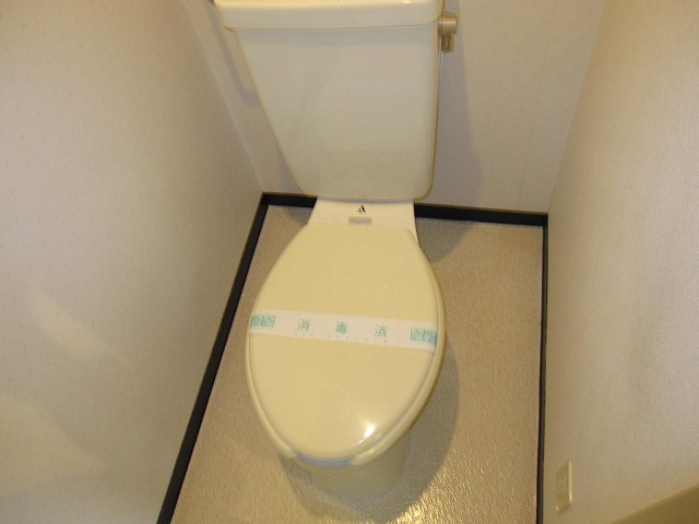 Toilet. Here is the toilet! 