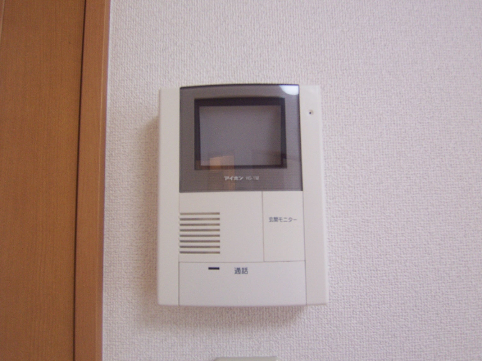 Security. Intercom with TV monitor