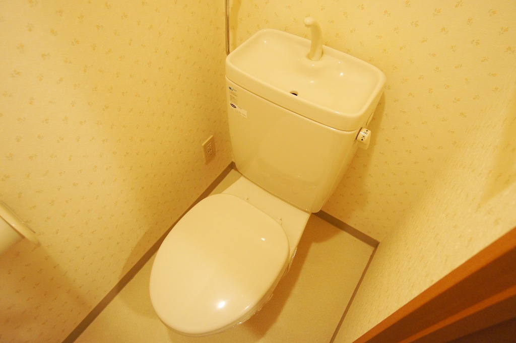 Toilet.  ☆ toilet ☆ 