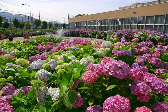 park. 272m to Kasuga green space (park)