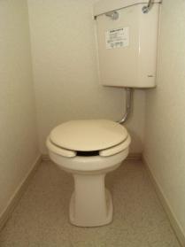 Toilet. Toilet