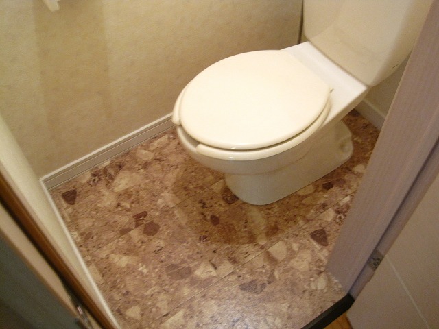 Toilet