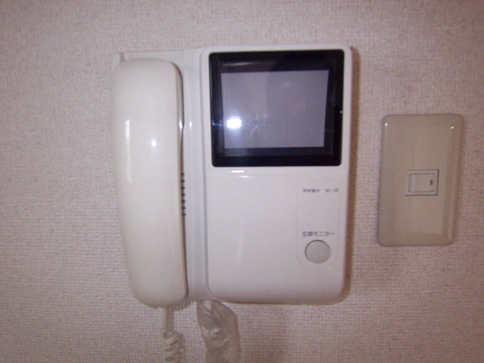 Security. Intercom with TV monitor