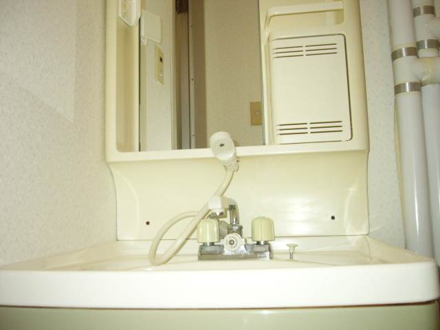 Washroom. Glad Shampoo dresser