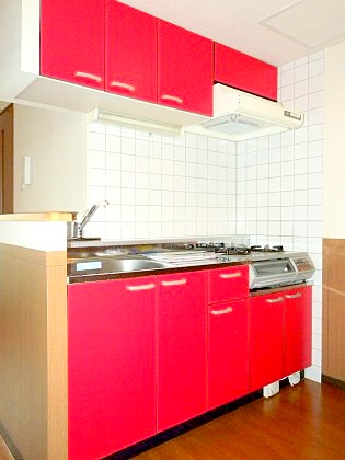 Kitchen. Stylish color kitchen