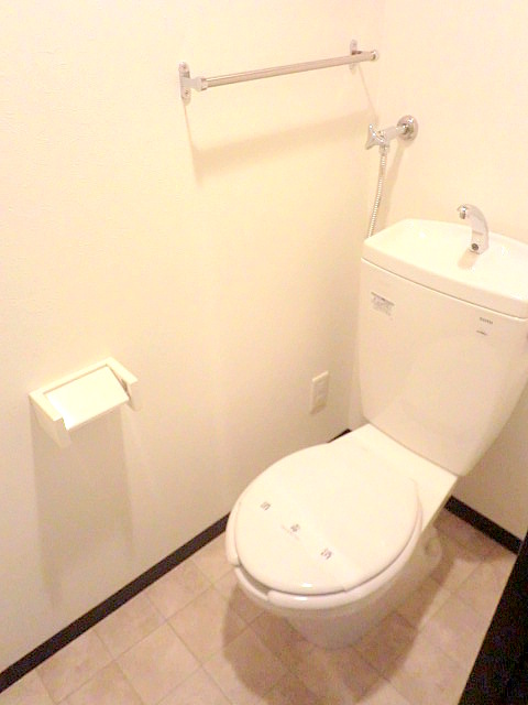 Toilet. It is very beautiful