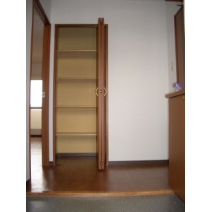 Other room space. Convenient storage of the entrance hall
