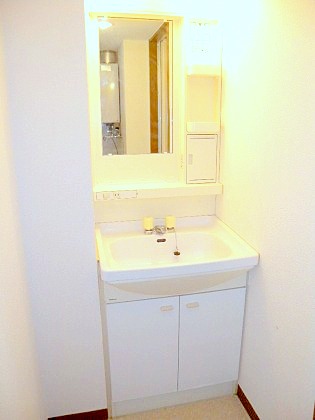 Washroom. It is with vanity