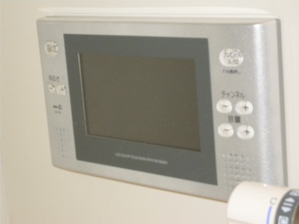 Other Equipment. Bathroom TV