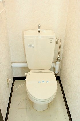 Toilet. Clean is clean already toilet