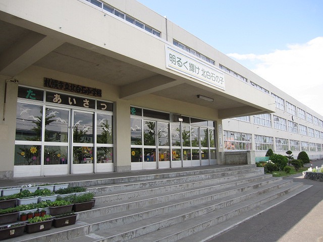 Primary school. 591m to Sapporo Tatsukita Shiraishi elementary school (elementary school)