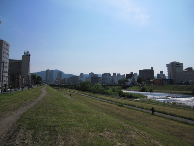 park. Toyohira Bridge south green space (park) up to 100m