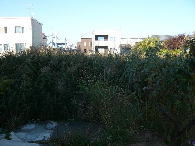 Local land photo. appearance