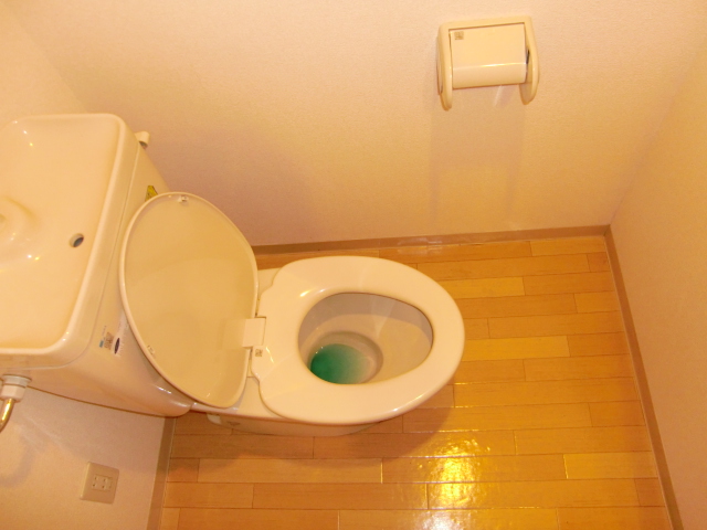 Toilet. It is a photograph of the toilet! 