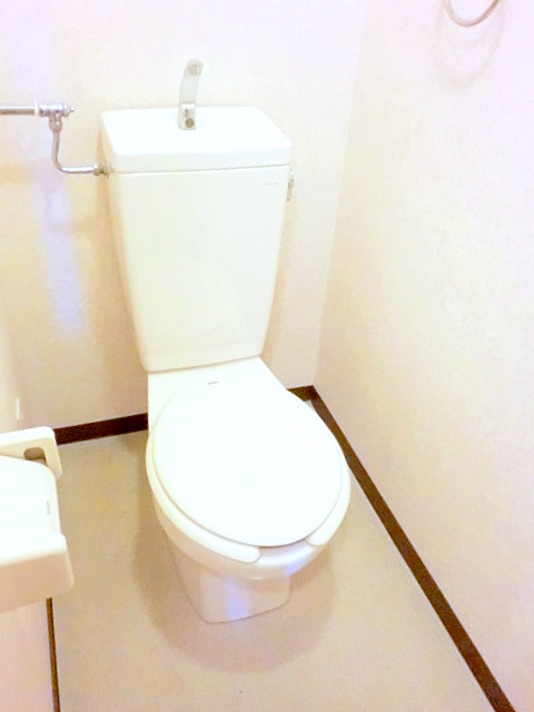 Toilet. Clean is clean already toilet