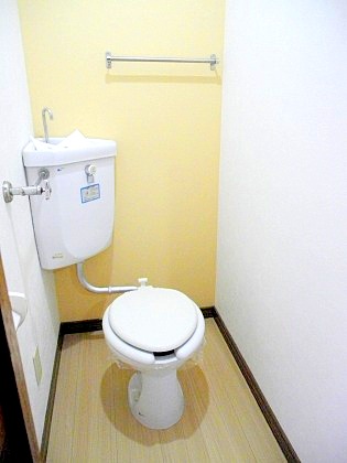 Toilet. Clean to clean already toilet