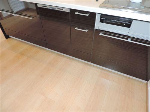 Kitchen. Dishwasher with a kitchen