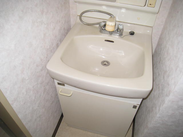 Washroom. Shampoo dresser equipped