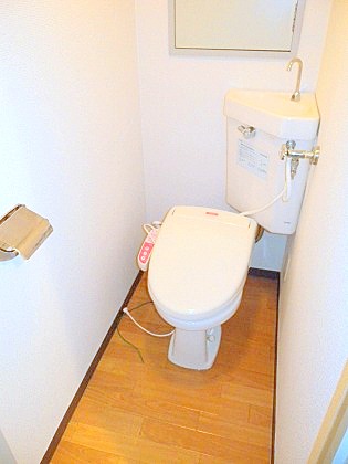 Toilet. Toilet with a bidet