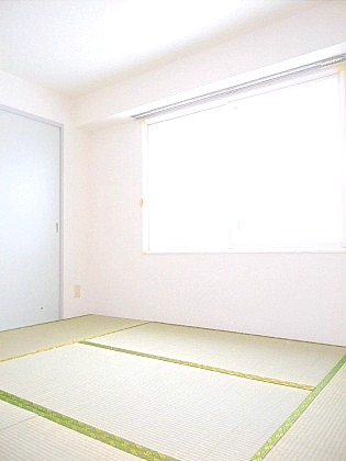 Other room space. Is a Japanese-style room. 