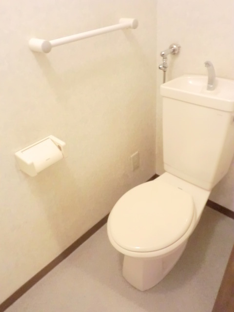 Toilet. Internet-ready apartment