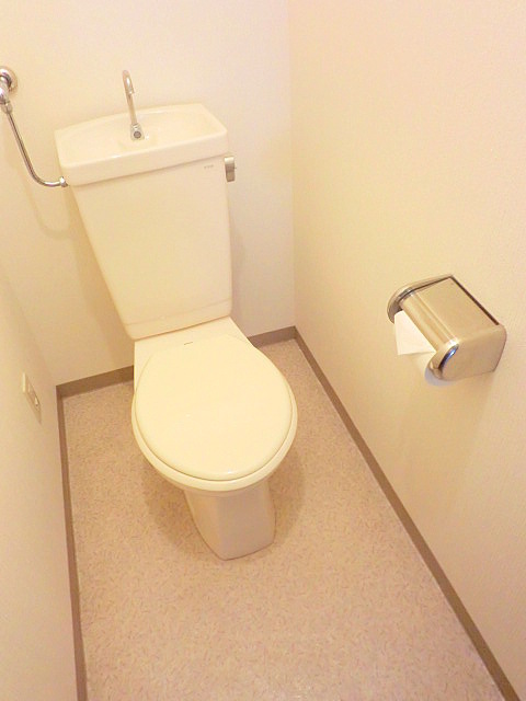 Toilet. Wide and clean toilet