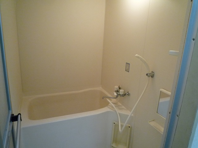 Bath. Hygienic bathroom
