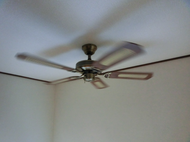 Other. Ceiling fans around