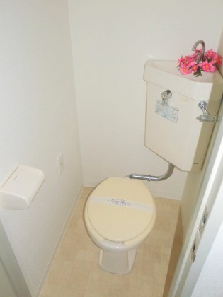 Toilet. Disinfection have been cleaned ☆ 