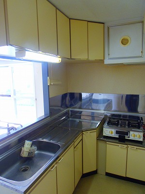 Kitchen. Kitchen is the face-to-face kitchen storage space enhancement! 